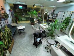 The Mezzo (D12), Retail #486332031